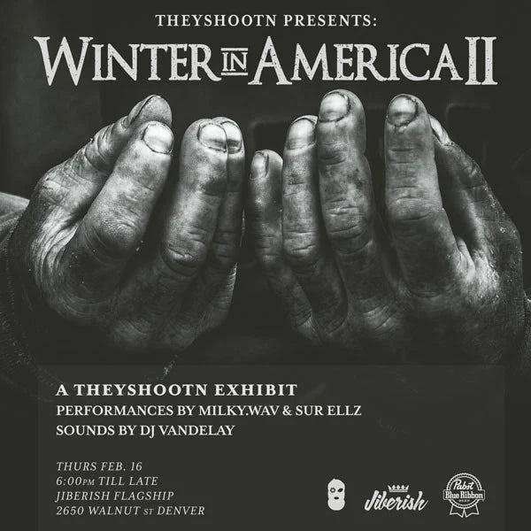 Theyshootn Presents Winter in America II - February 16th