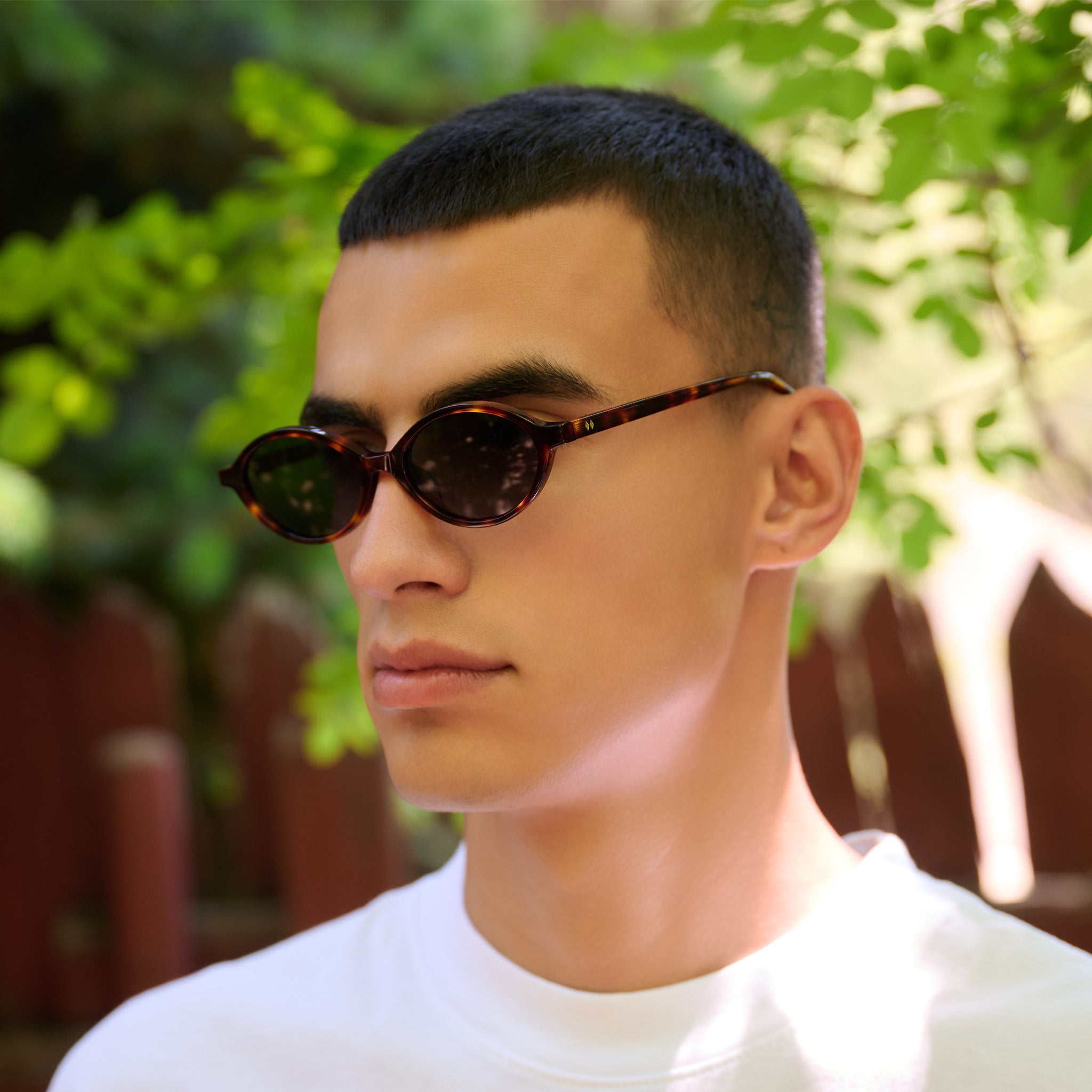 Offshore Full Moon Sunglasses Tortoise