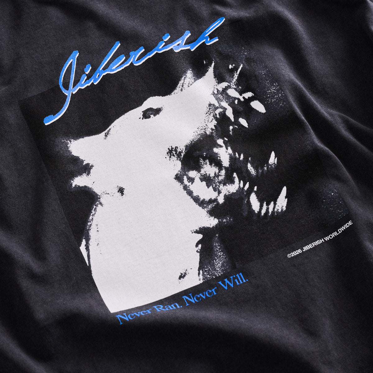 Big Dawg Long Sleeve Tee Vintage Black