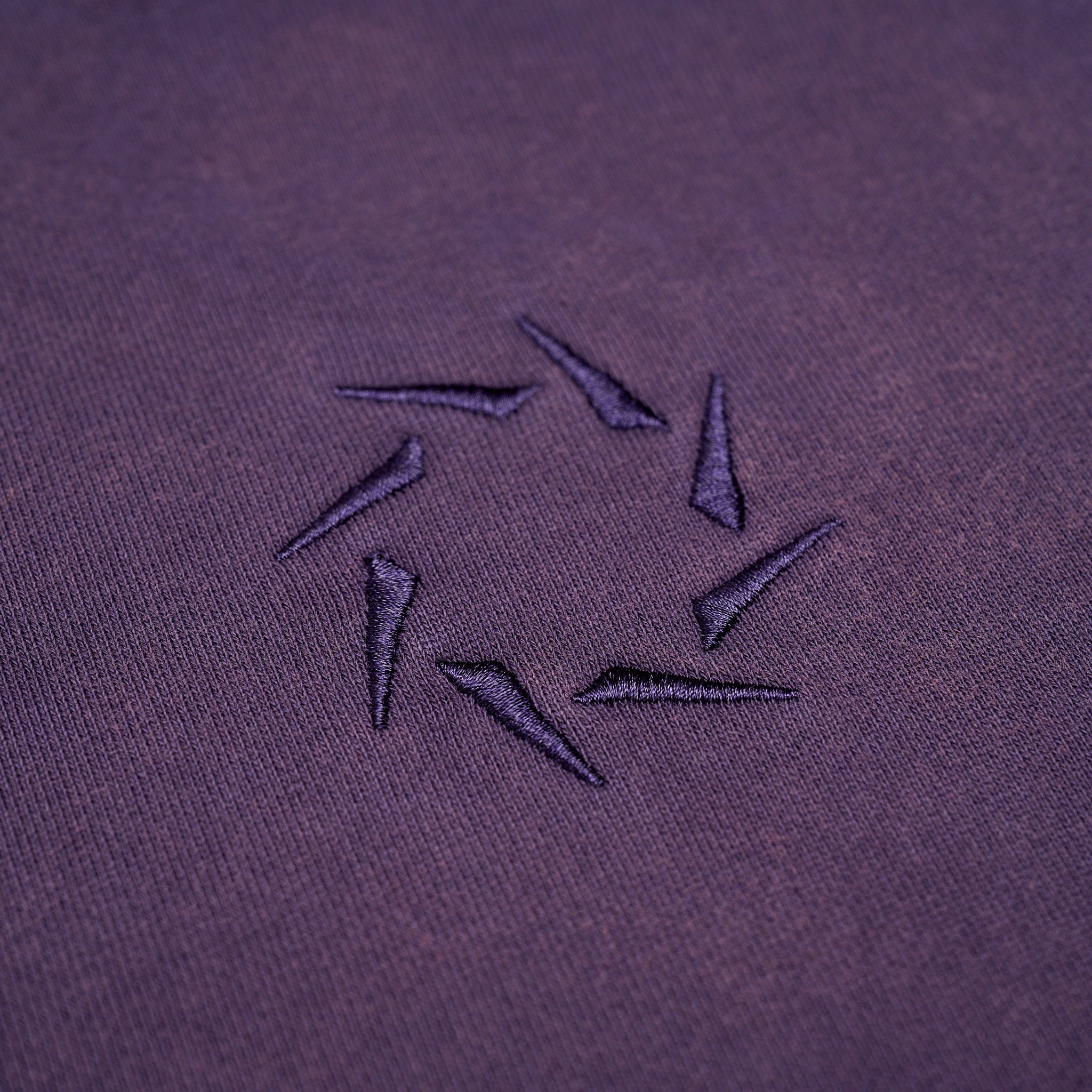 Aros Pigment Dyed Hoodie Purple