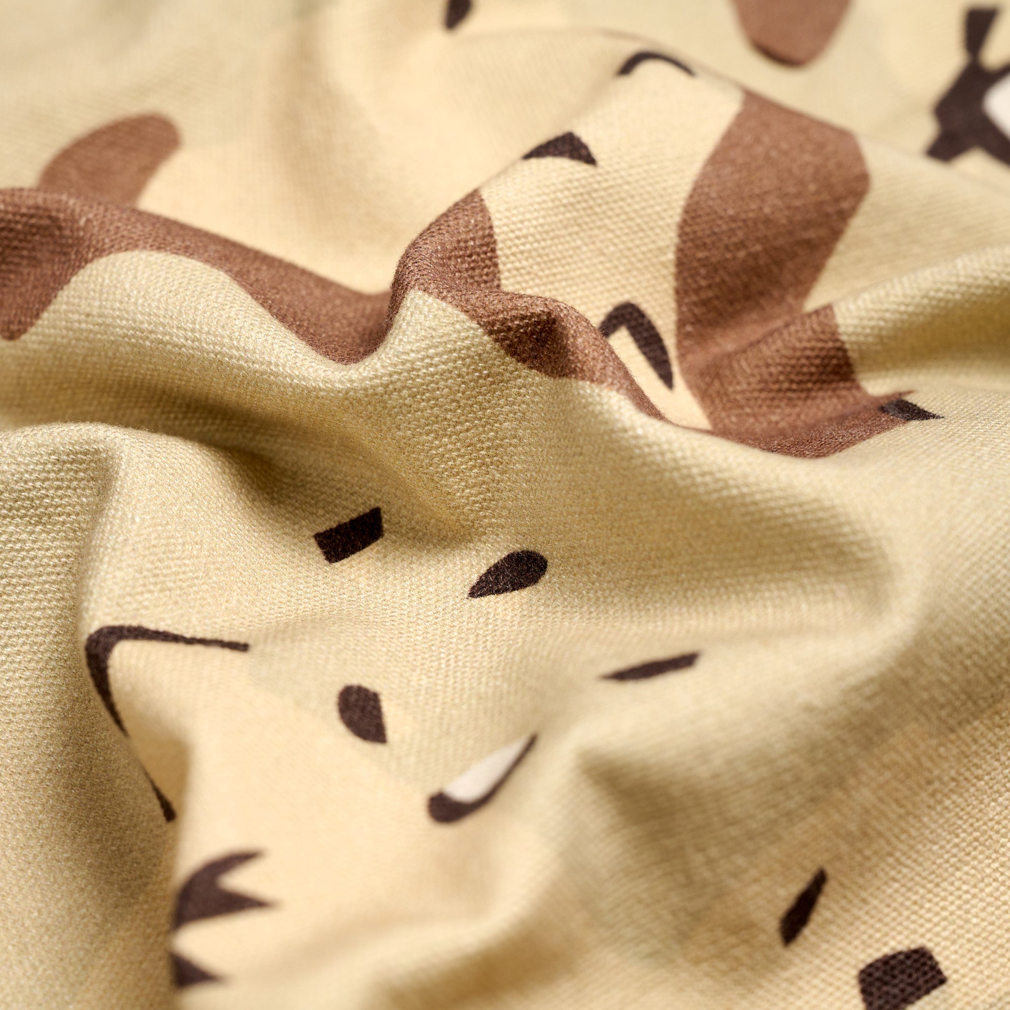 Baggy Fit Canvas Pants Desert Camo