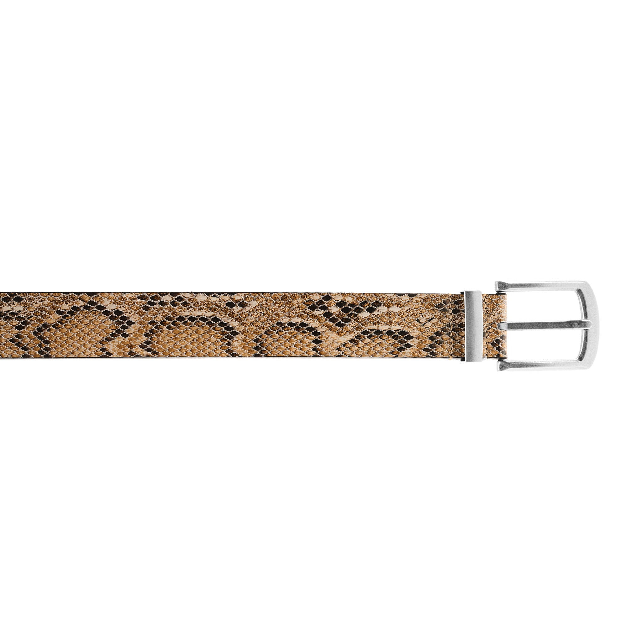 Snake Skin Belt